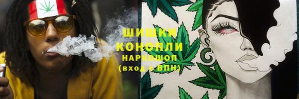 стафф Богородск