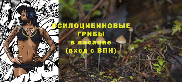 герыч Богородицк