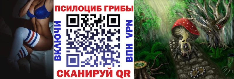 Галлюциногенные грибы Magic Shrooms  blacksprut tor  Тверь  где найти наркотики 